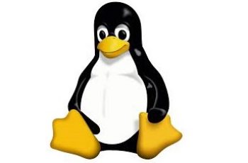 How To Screenshot On Linux